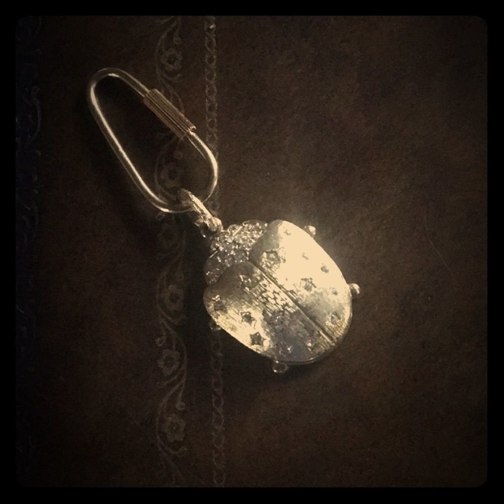 Ladybug Keychain 